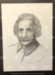 Portrait of Albert Einstein by Patti Treadaway Walls