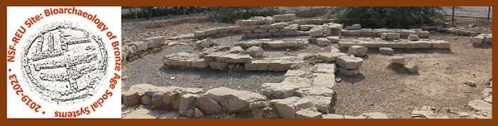 NSF-REU Site: Bioarchaeology of Bronze Age Social Systems