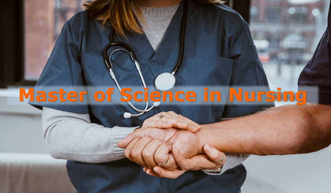 Master of Science in Nursing (MSN) Program