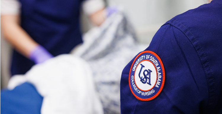 Bachelor of Science in Nursing (BSN) Program