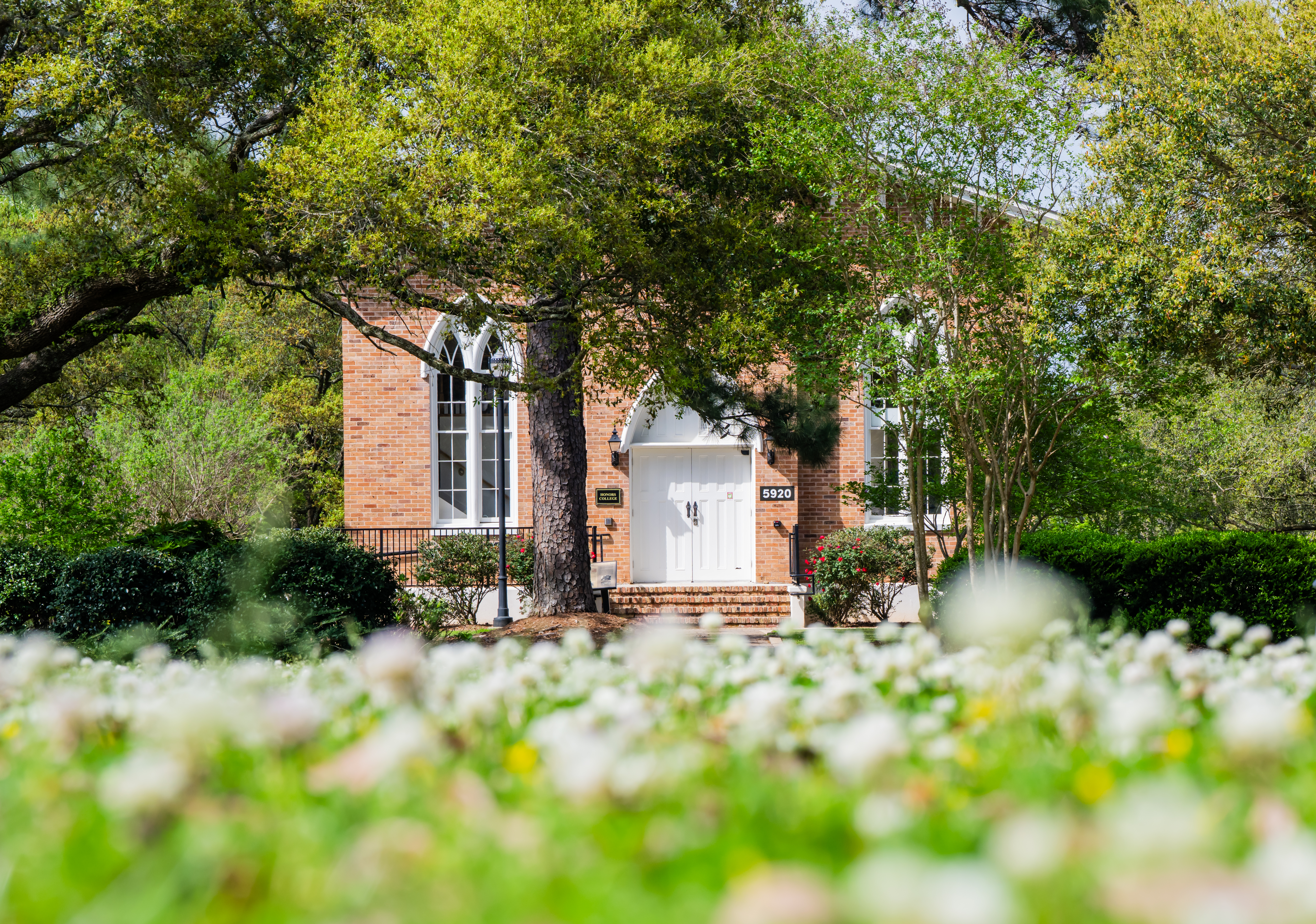 Undergraduate Research