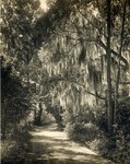 Bellingrath Gardens and Home History: Belle Camp Road by Paula Webb and Thomas McGehee