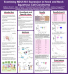 Examining NDUFAB1 Expression in Head and Neck Squamous Cell Carcinoma by Addison Stevens