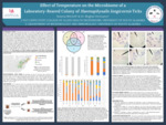 Effect of Temperature on the Microbiome of a Laboratory Reared Colony of Haemaphysalis longicornis Ticks by Brianna Mitchell