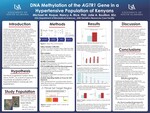 DNA Methylation of the AGTR1 Gene in a Hypertensive Population of Kenyans