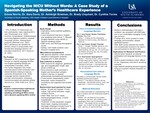 Navigating the NICU Without Words: A Case Study of a Spanish-Speaking Mother’s Healthcare Experience