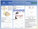Thermal Characterization of Robust Ionic Liquids for Energy Production