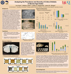 Analyzing the Prevalence and Severity of Cribra Orbitalia in Bronze Age Arabia by Urvi Kaul, Brittany Clark, Lesley A. Gregoricka, and Jaime M. Ullinger