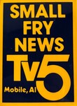 Small Fry News TV5 logo by Jana M. Herrmann