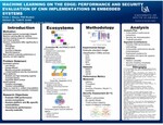 Machine Learning on the Edge: Performance and Security Evaluation of CNN Implementations in Embedded Systems