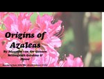 Origins of Azaleas