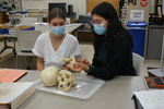 AB, UK skull lab 5.21.21 (4).JPG by Lesley A. Gregoricka